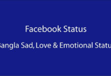 Facebook Status