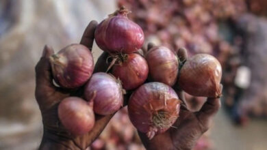 Bangladesh Onion Price Today