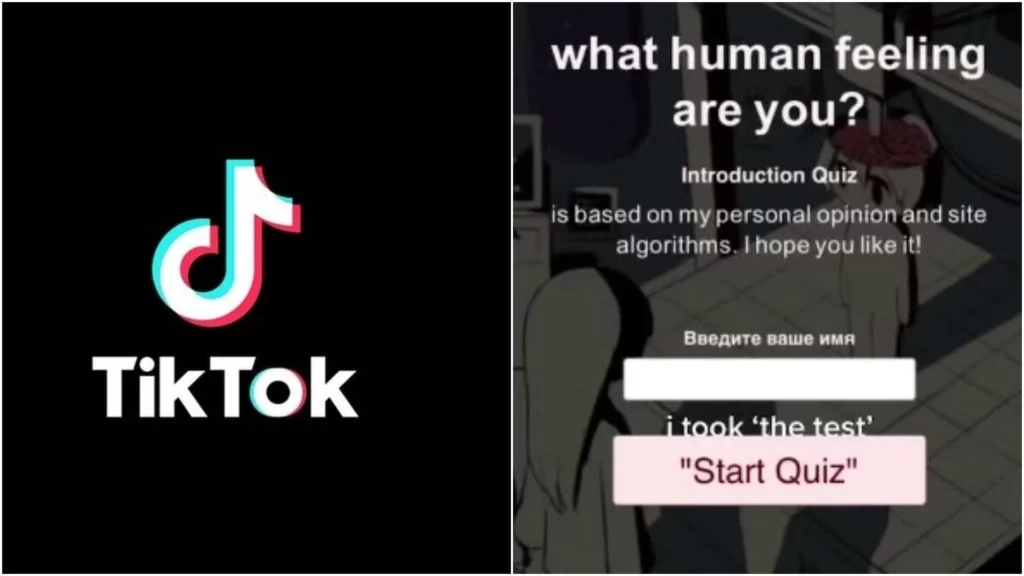 Human Emotions Quiz TikTok
