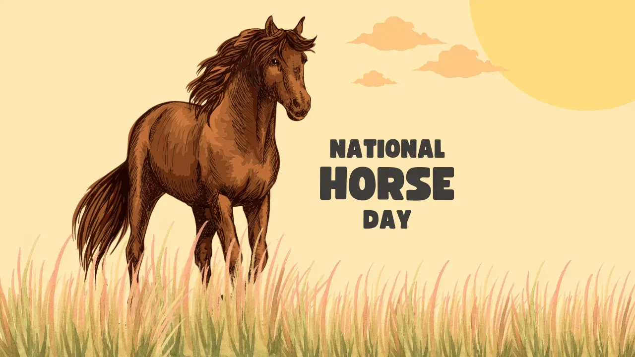 National Horse Day - HD Images and Wallpapers